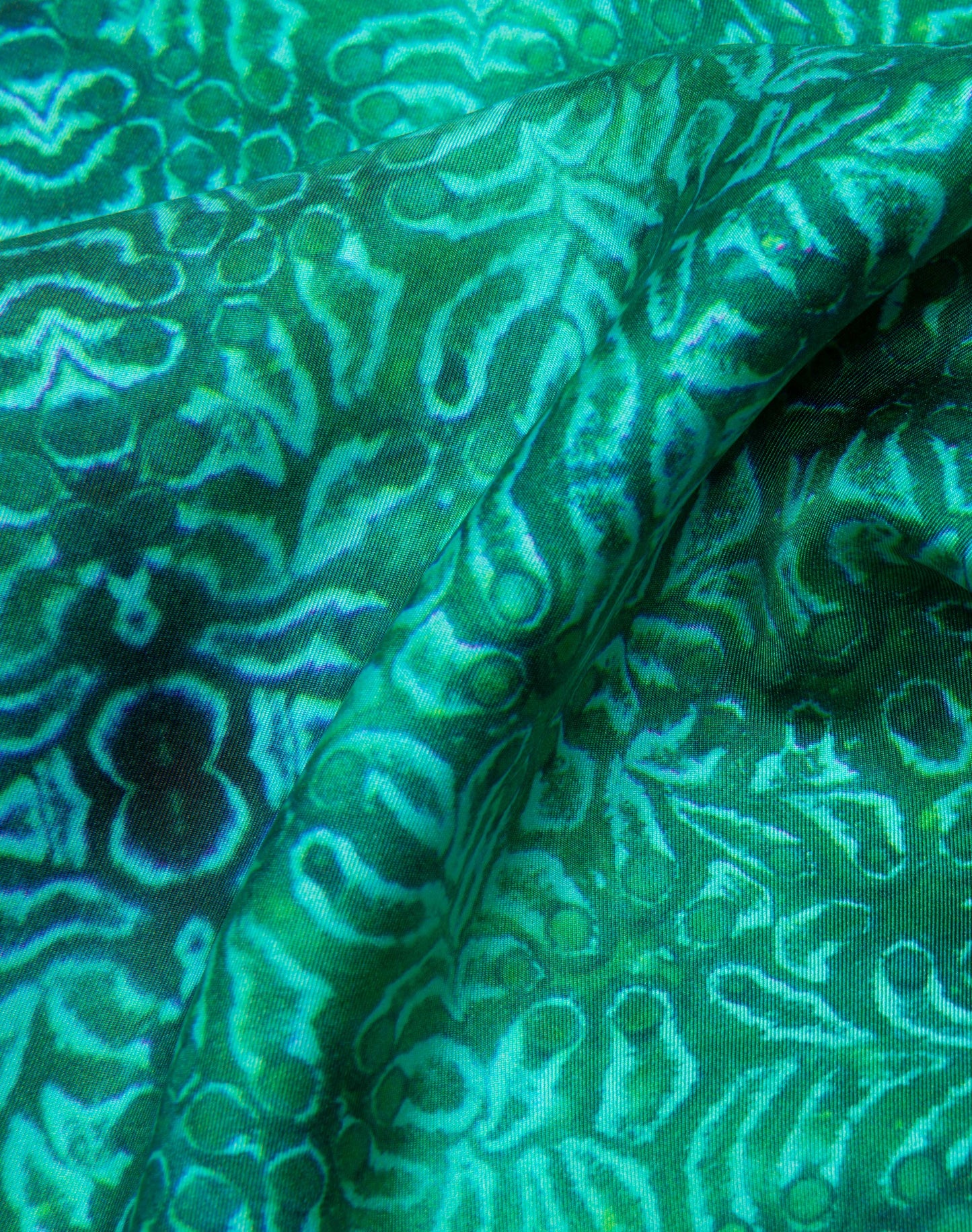 Los Roques Tunicates organic silk scarf