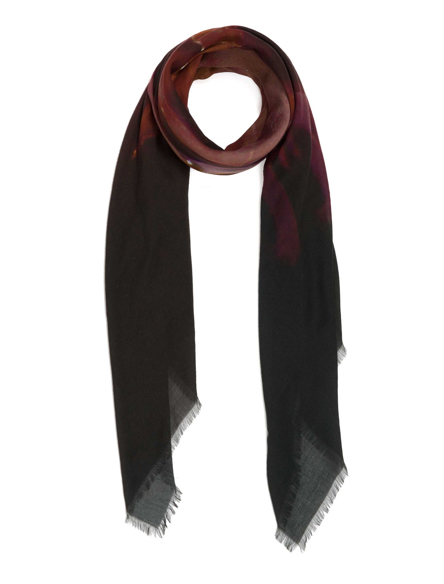 Iphimediidae Armour scarf