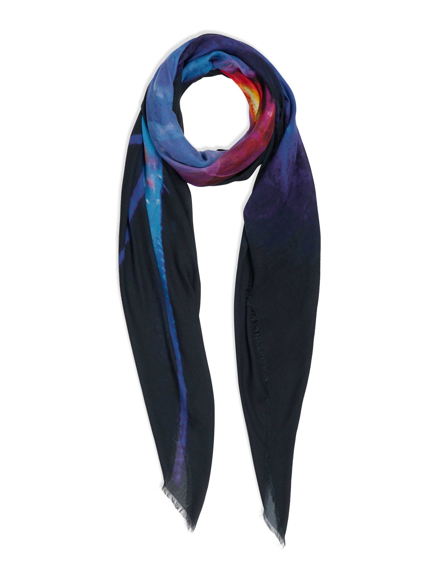 Iphimediidae Deep Blue scarf